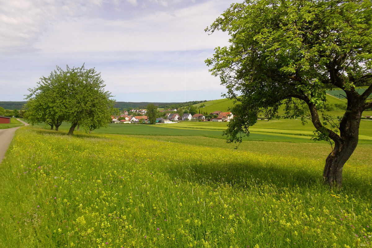 Blick auf Riedöschingen.
