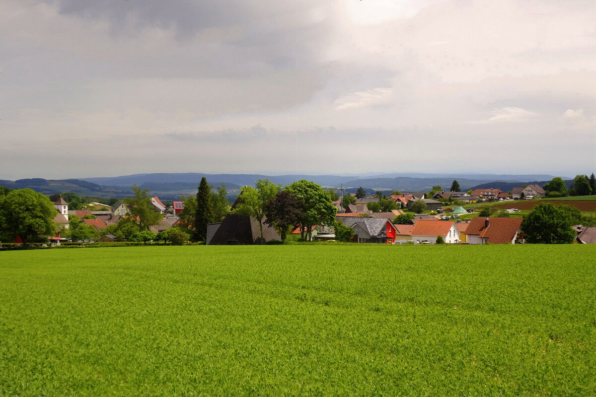 Blick auf Kommingen.