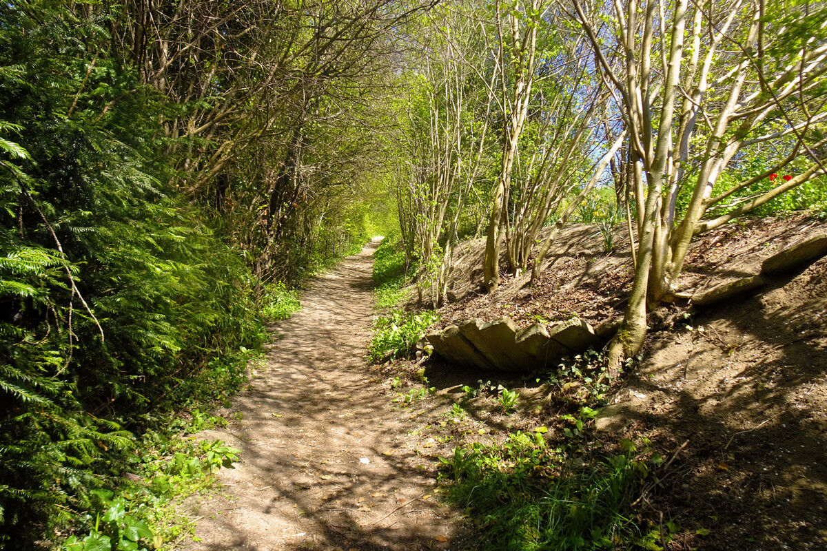 In der Klingenbachschlucht.