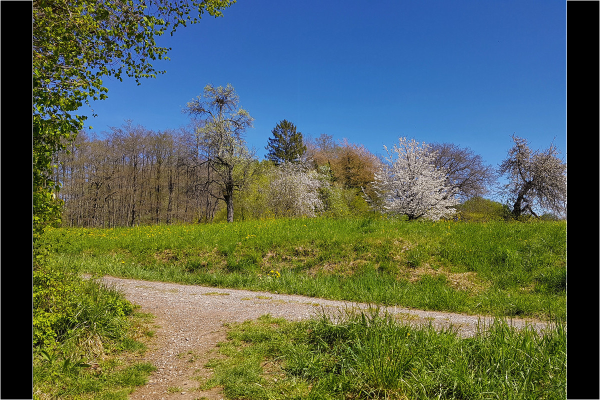 In der Klingenbachschlucht.
