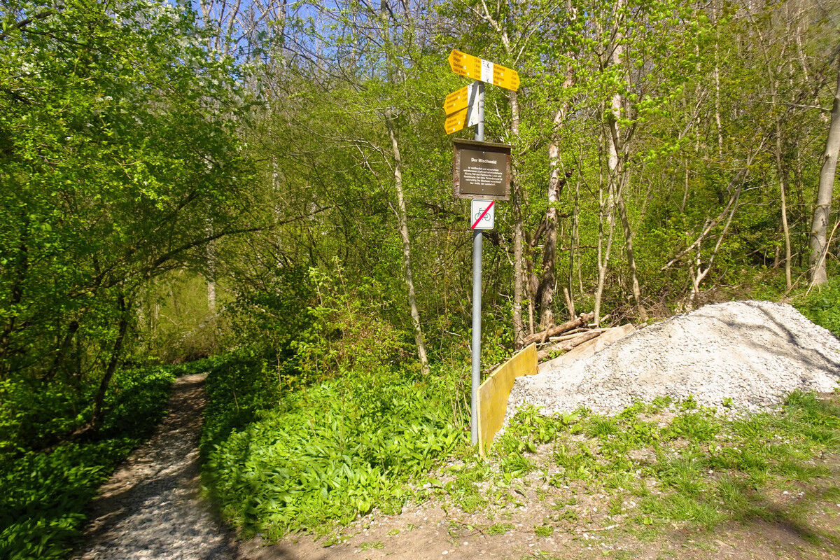 In der Klingenbachschlucht.