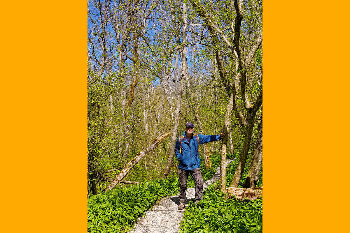 In der Klingenbachschlucht.