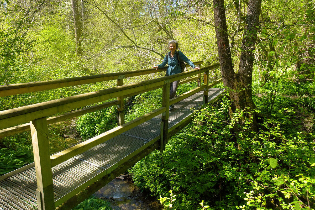 In der Klingenbachschlucht.
