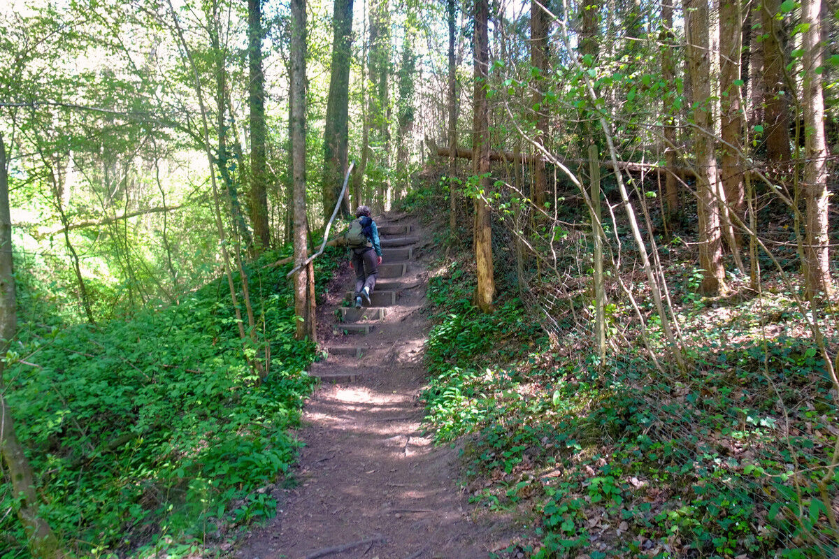 In der Klingenbachschlucht.