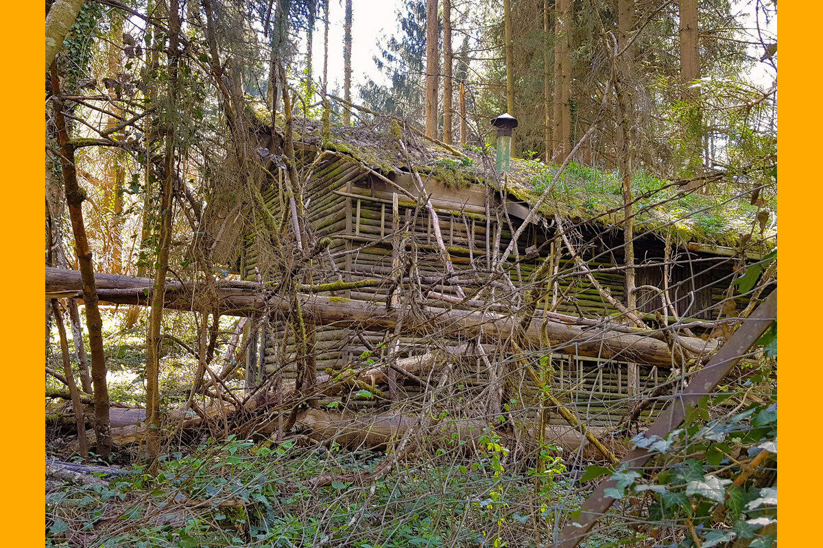 In der Klingenbachschlucht.