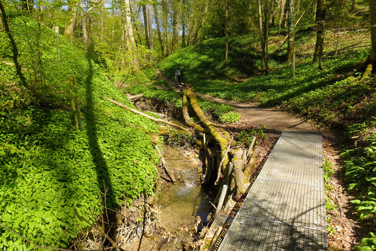 In der Klingenbachschlucht.
