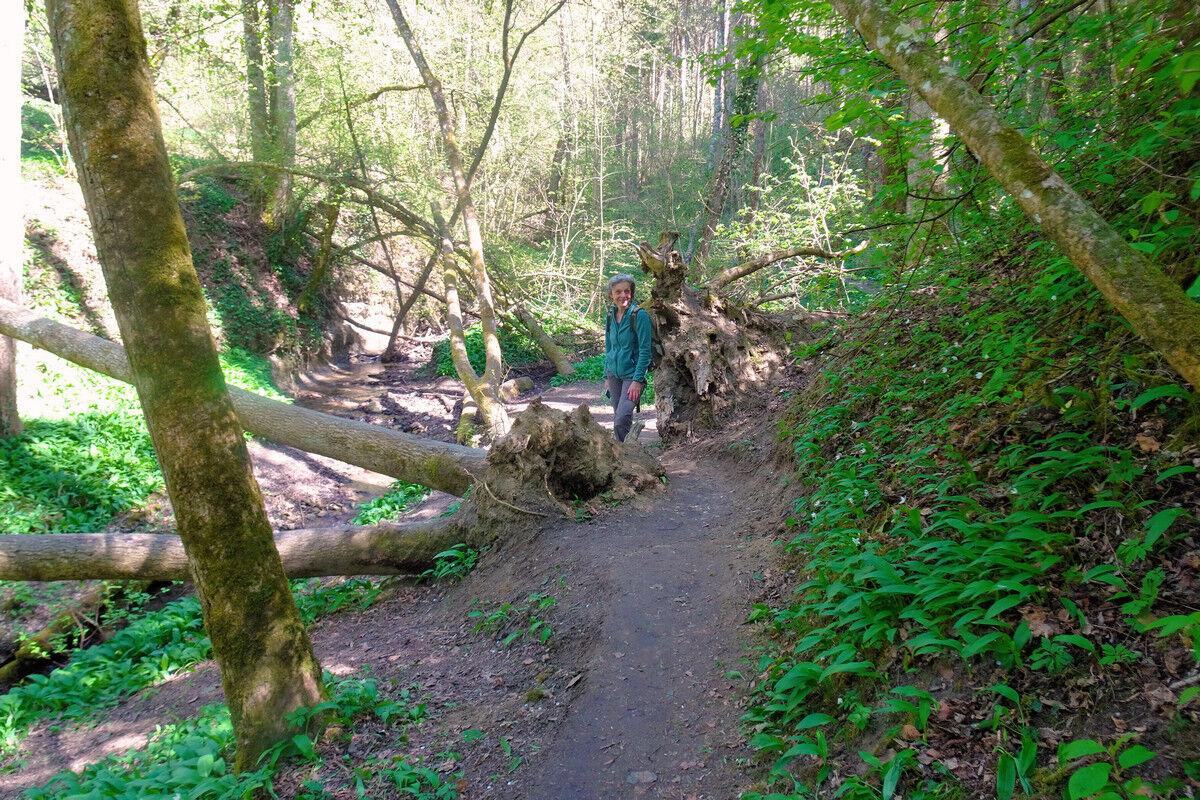 In der Klingenbachschlucht.
