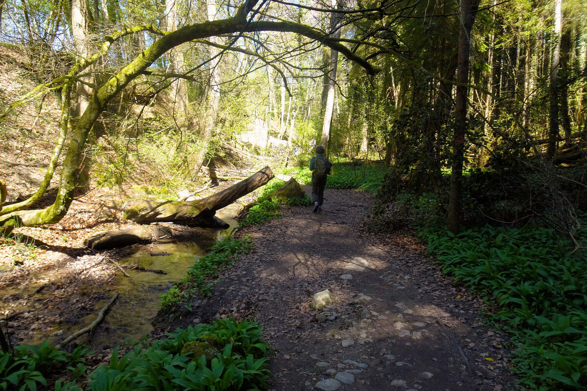 In der Klingenbachschlucht.