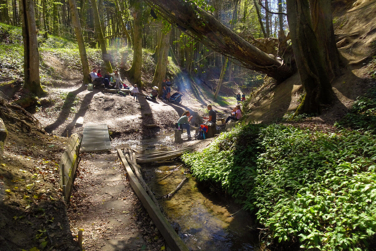 In der Klingenbachschlucht.