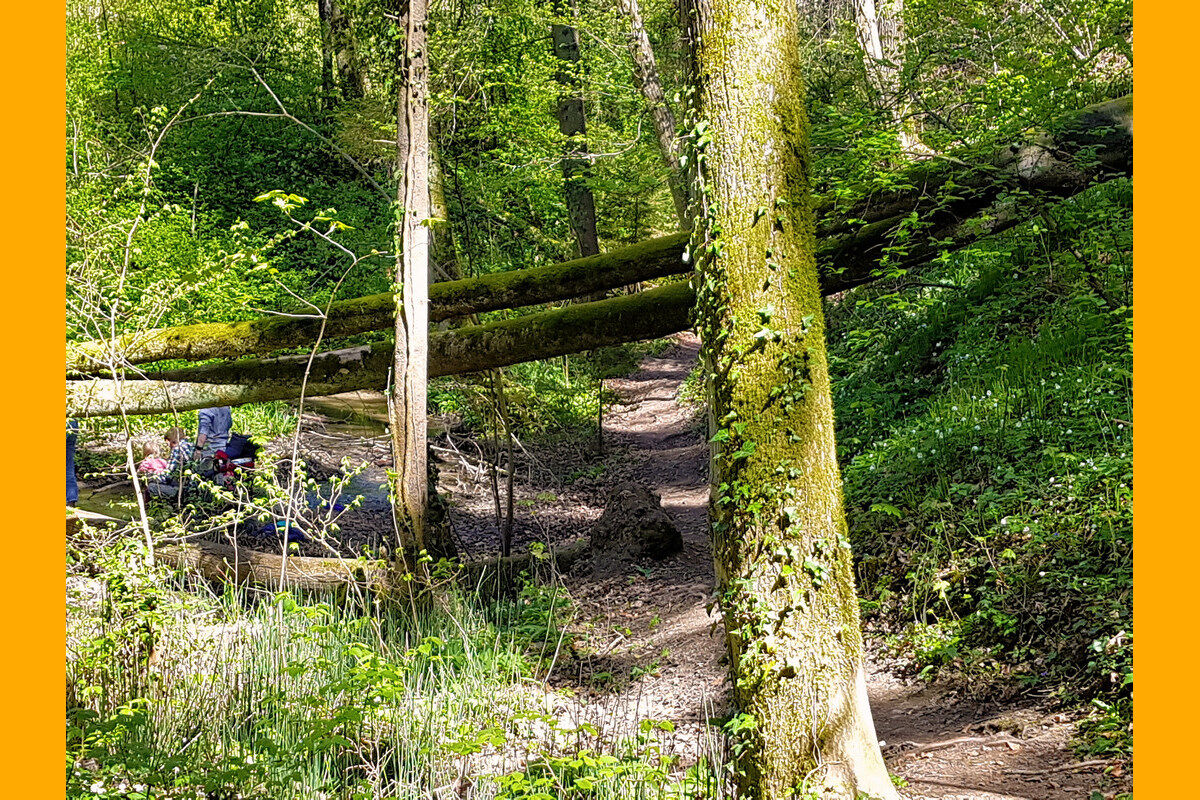 In der Klingenbachschlucht.