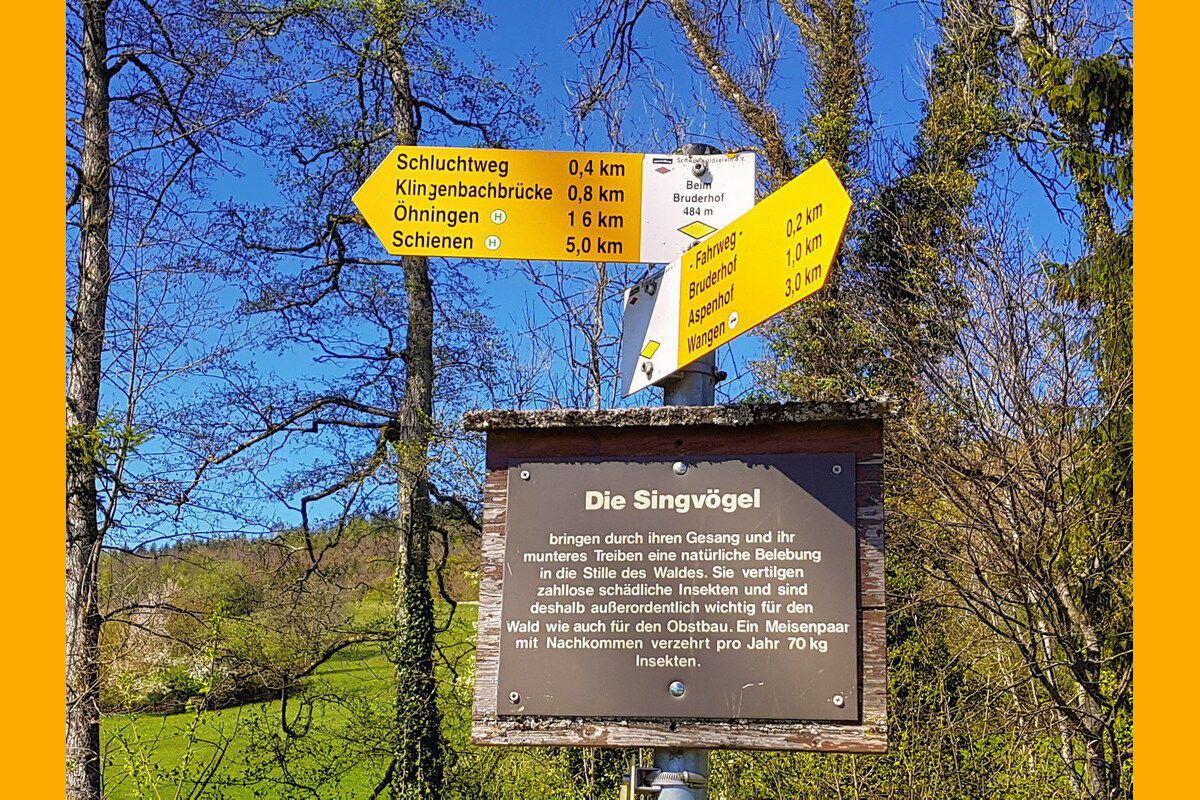 In der Klingenbachschlucht.