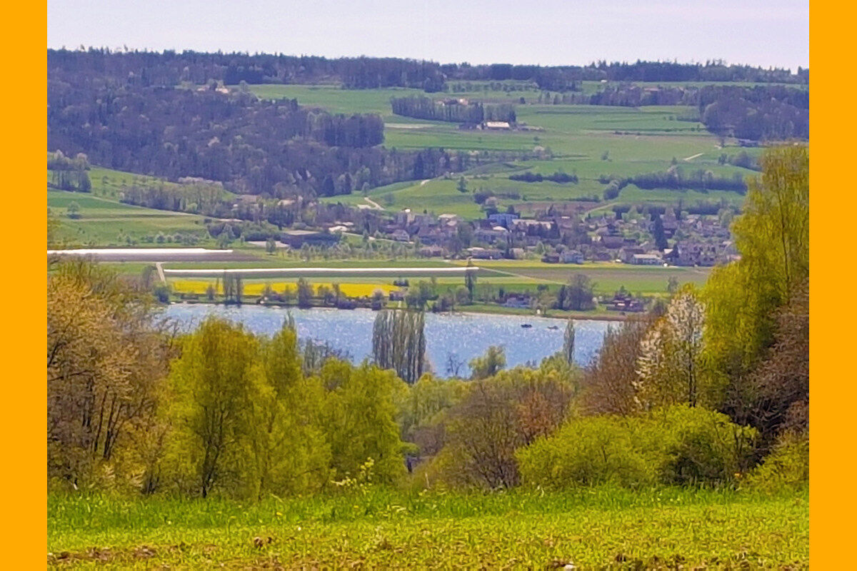 Kattenhorner Bühl - Blick auf den Untersee und das schweizer Ufer.