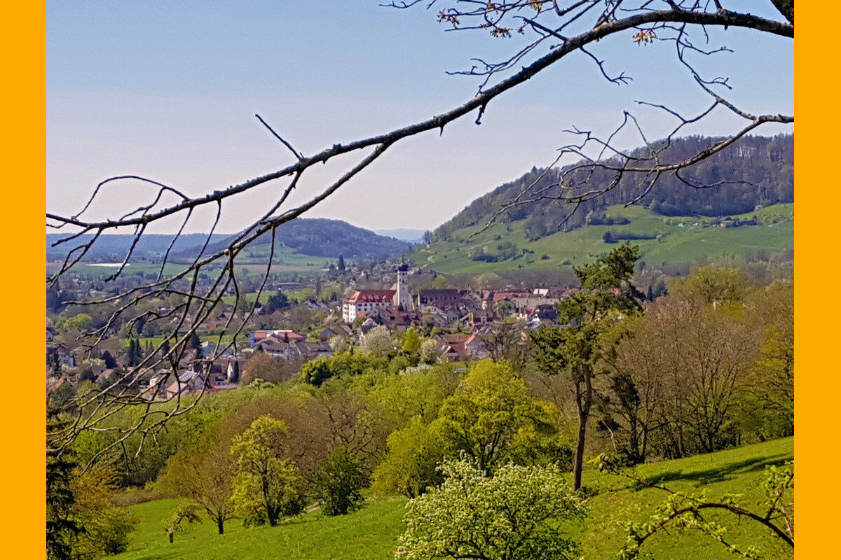 Kattenhorner Bühl - Blick auf Öhningen.