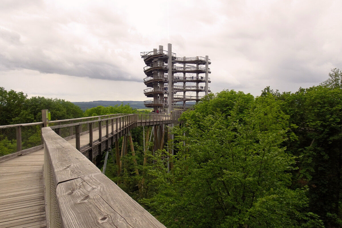 Baumwipfelpfad und Aussichtsturm.