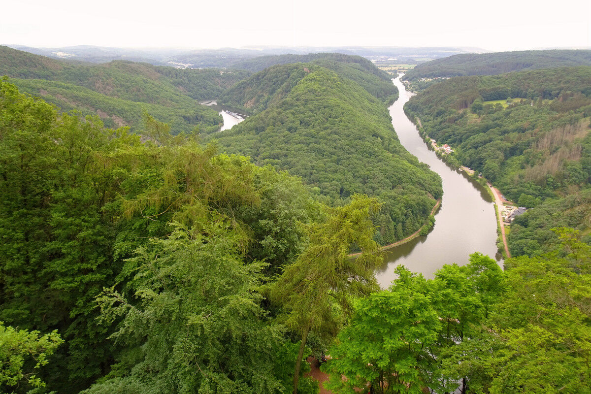 Blick auf die Saarschleife.