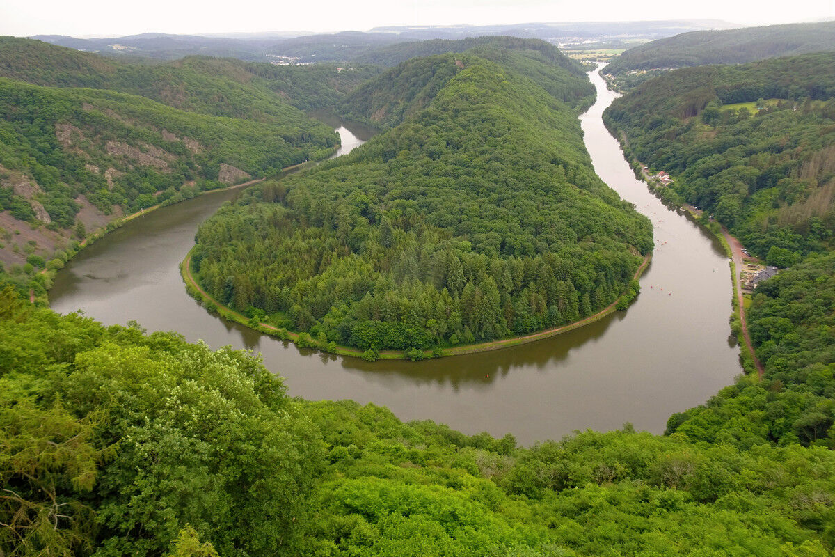 Blick auf die Saarschleife.