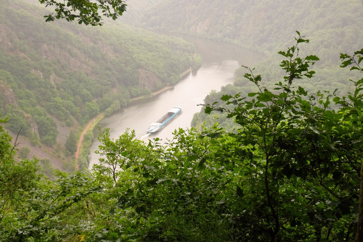 Blick auf die Saar.
