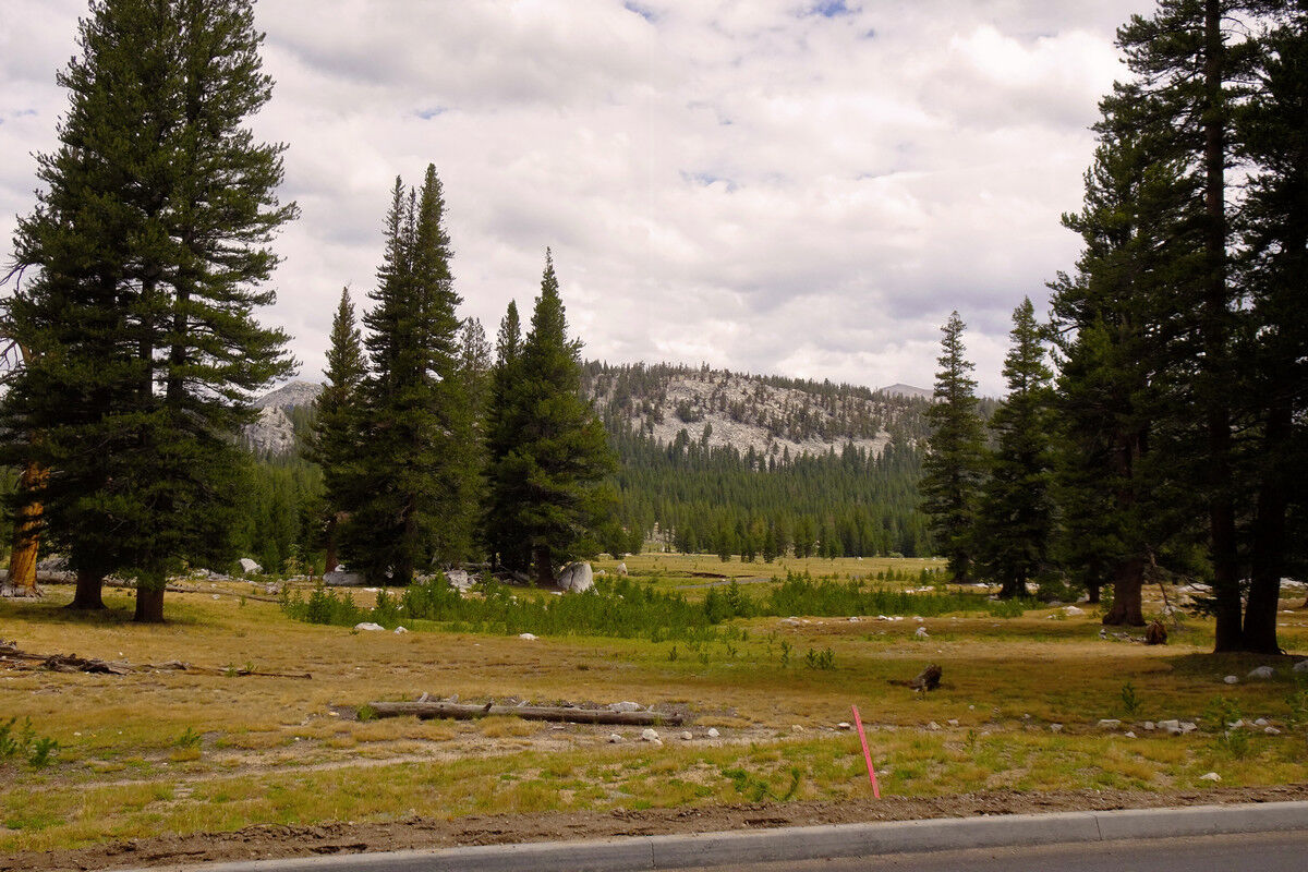 Tuolumne Meadows.
