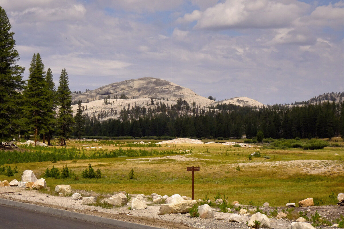 Tuolumne Meadows.