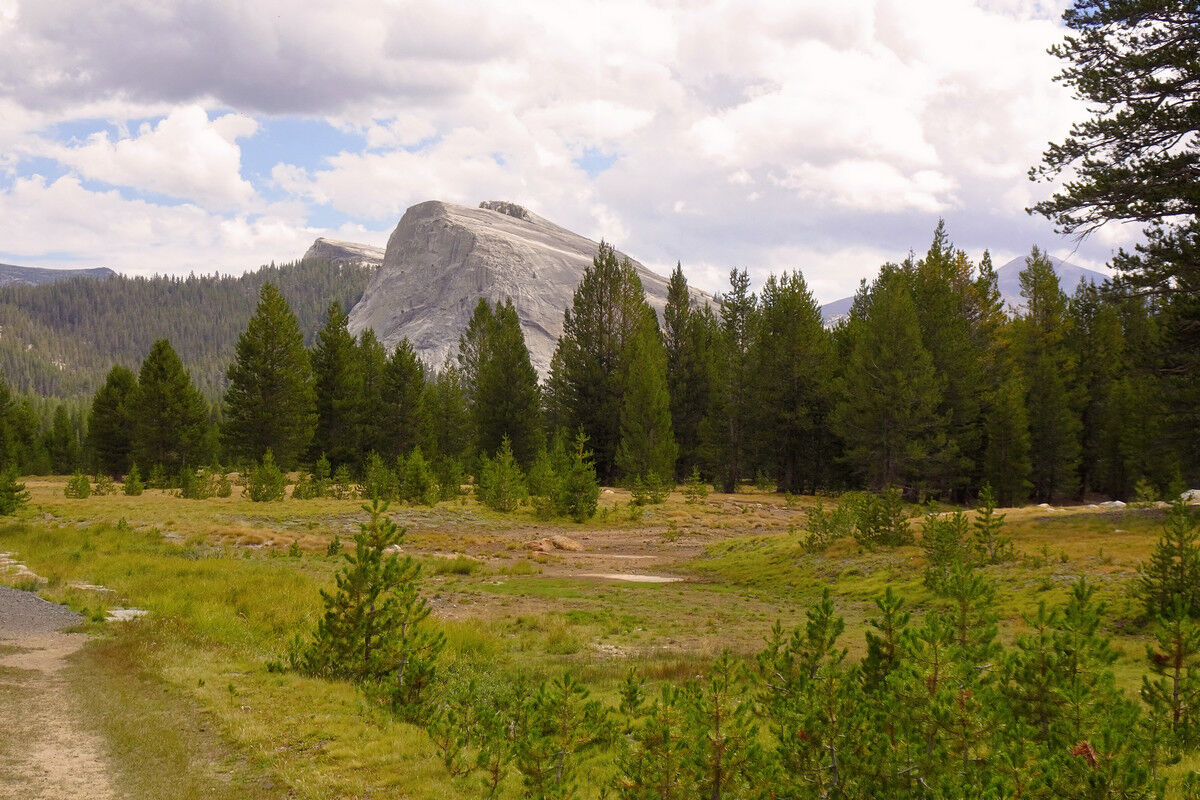 Tuolumne Meadows - Lembert Dome.