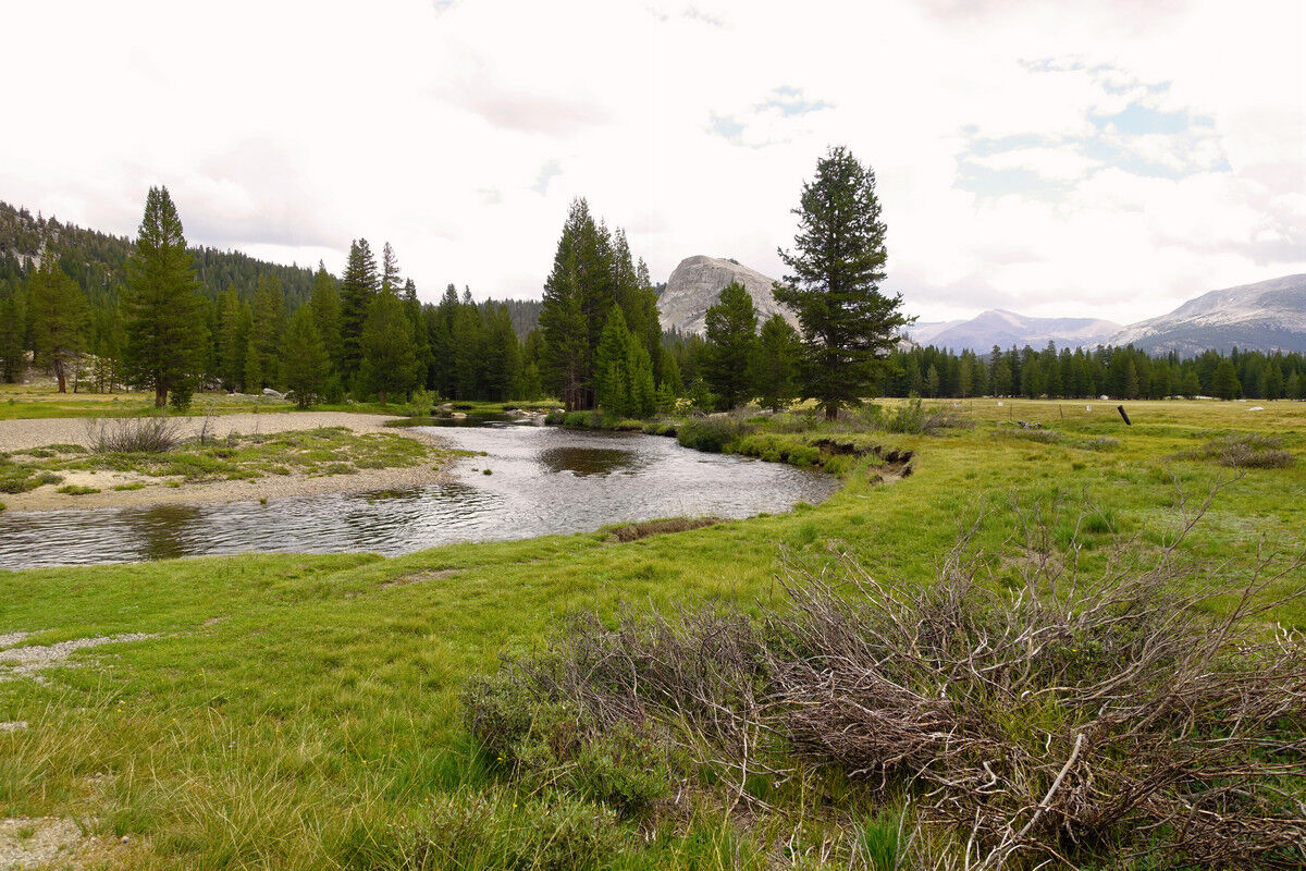 Tuolumne Meadows.