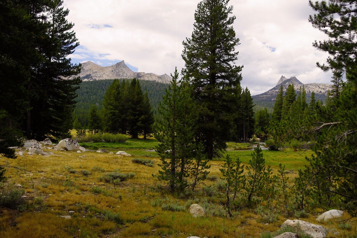 Tuolumne Meadows.
