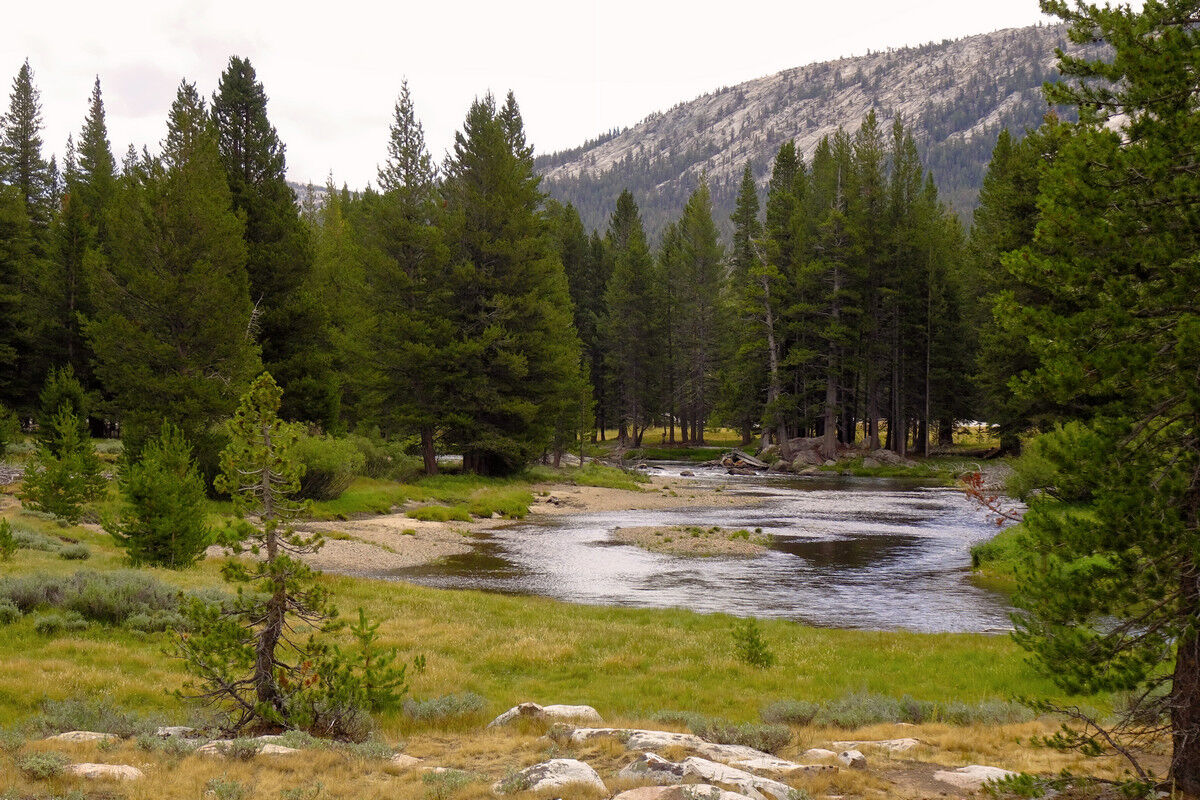 Tuolumne Meadows.