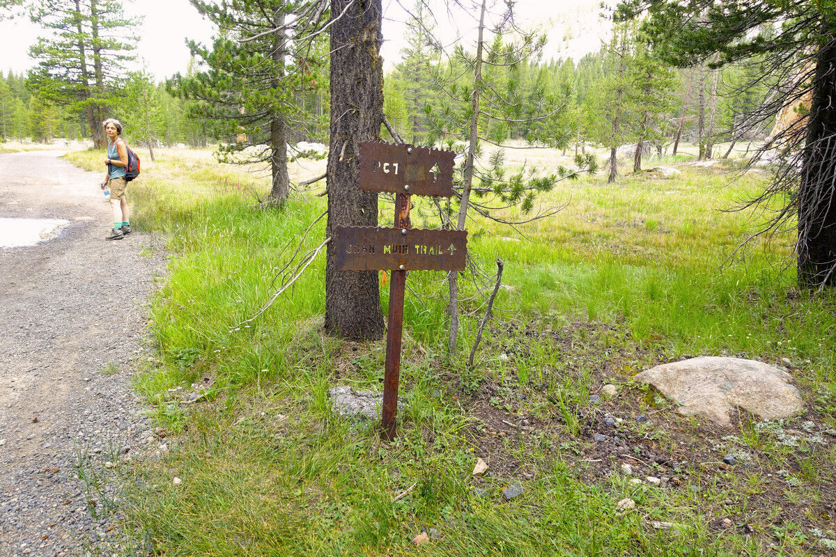 Tuolumne Meadows. - PCT & JMT.