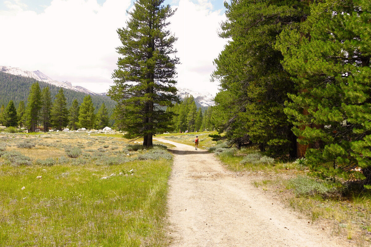 Tuolumne Meadows.