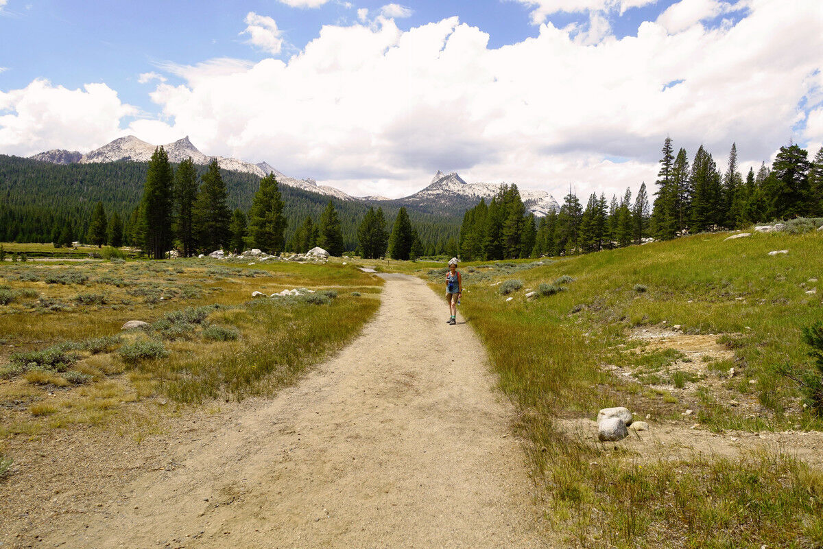 Tuolumne Meadows.