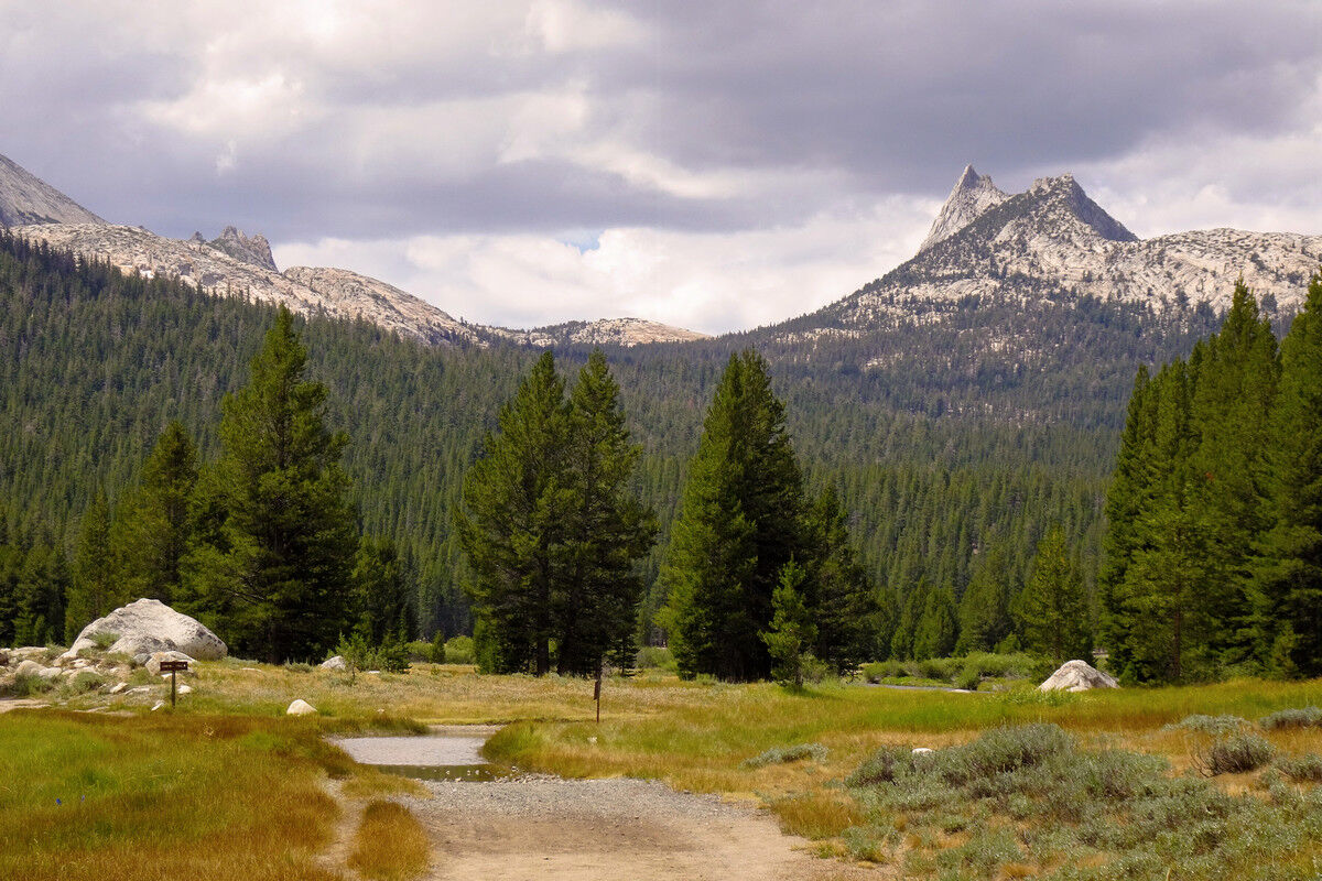 Tuolumne Meadows.