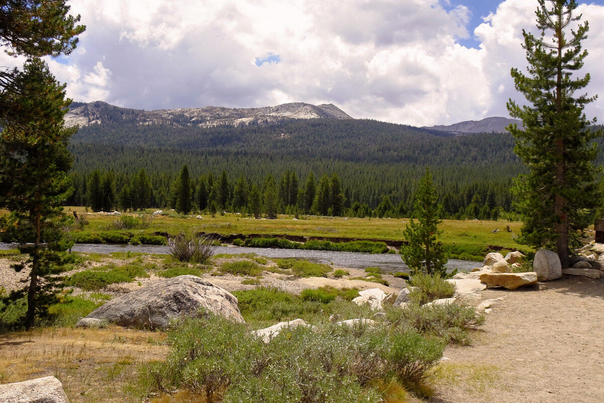 Tuolumne Meadows.