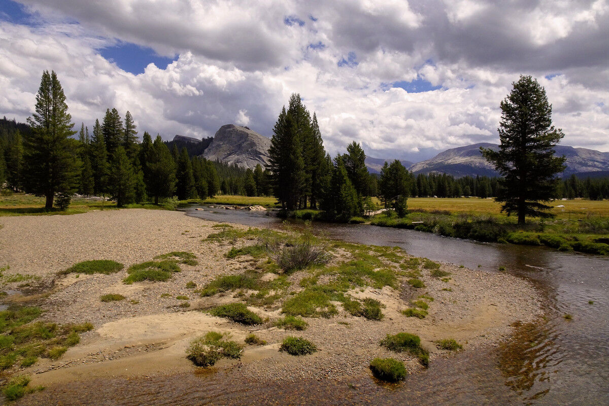 Tuolumne Meadows.