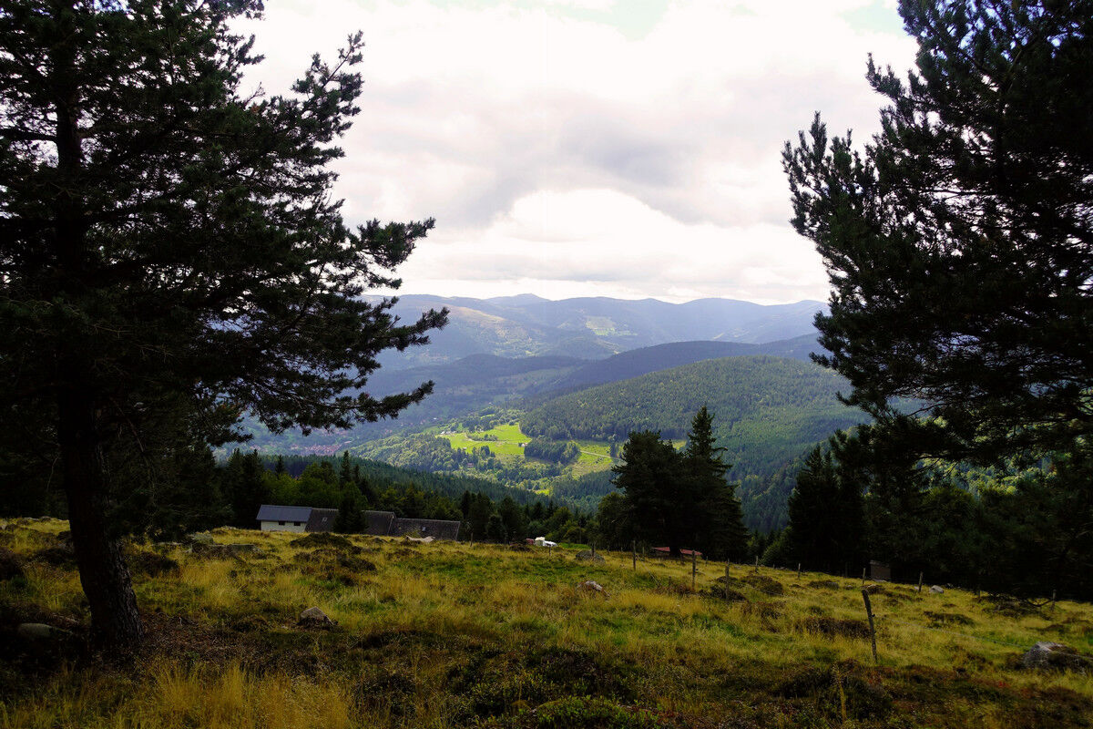 Blick über die Südvogesen.