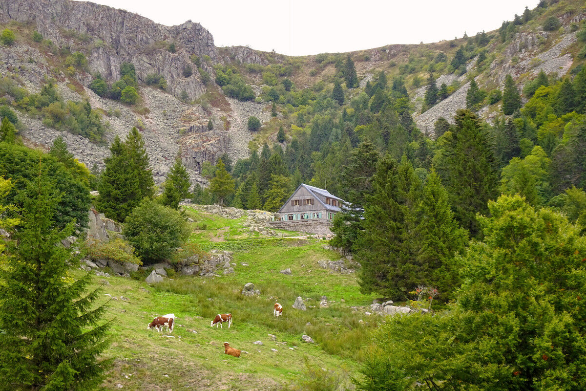 Ferme Auberge du Forlet.