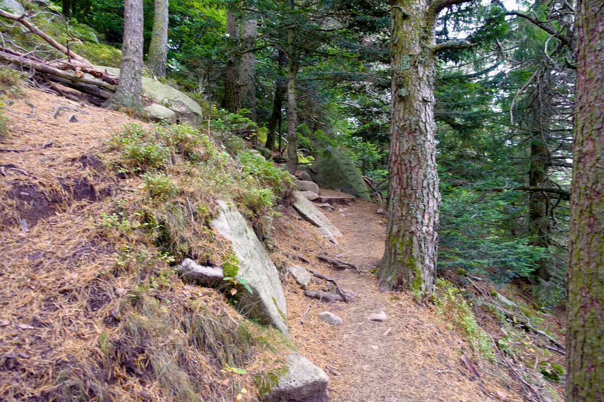 Aufstieg zum Soultzeren Eck.