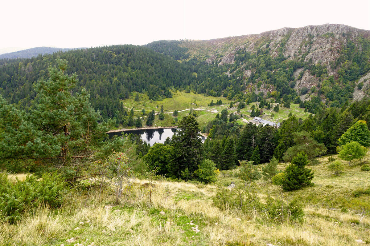 Blick vom Soultzeren Eck.