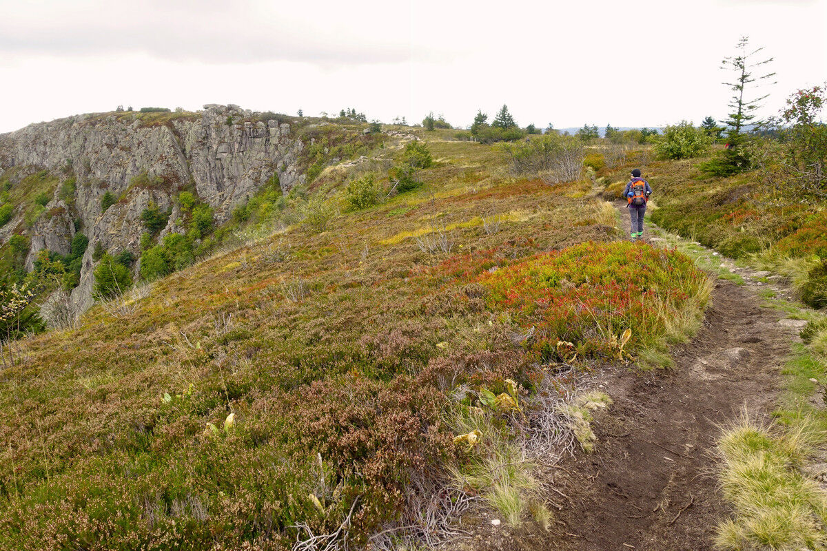 Auf der Heidehochebene.
