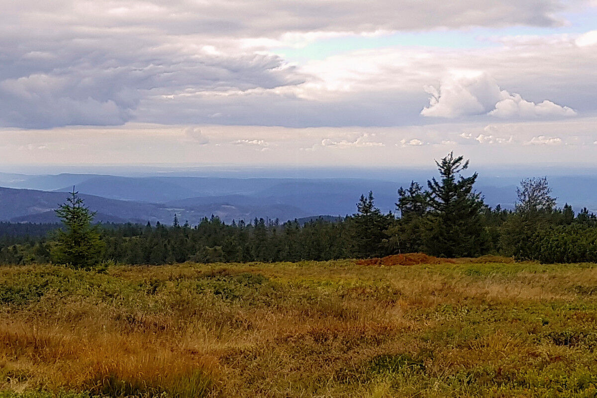 Blick Richtung Schwarzwald.