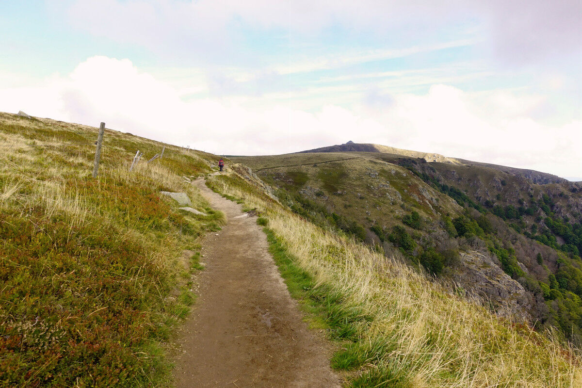 Blick auf den Weg zum Hohneck.