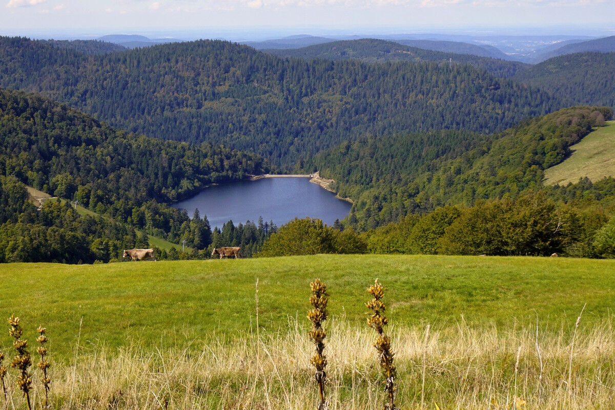 Blick vom GR5 auf den Lac de la Lande.