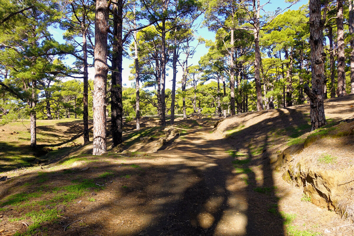 Auf dem Aufstieg zum Mercadel.