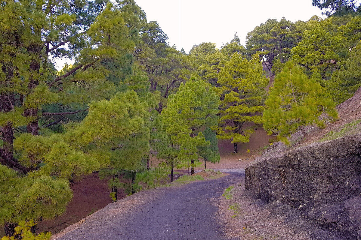 Auf dem Aufstieg zum Mercadel.