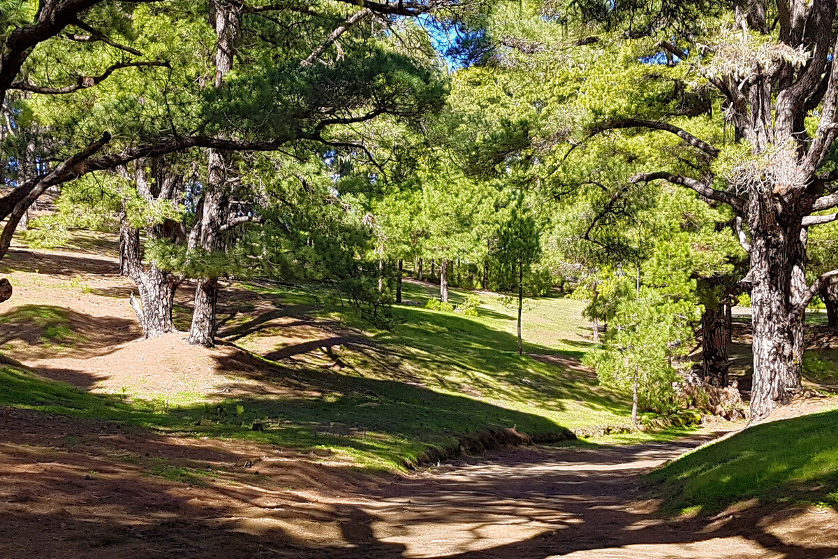 Auf dem Aufstieg zum Mercadel.