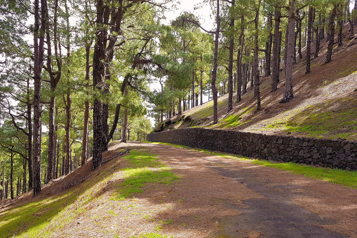 Abstieg vom Mercadel.