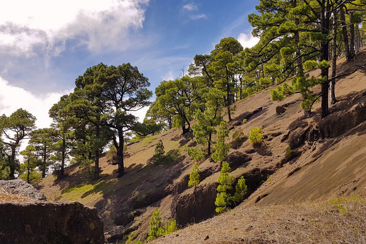 Abstieg durch ein trockenes Bachbett.