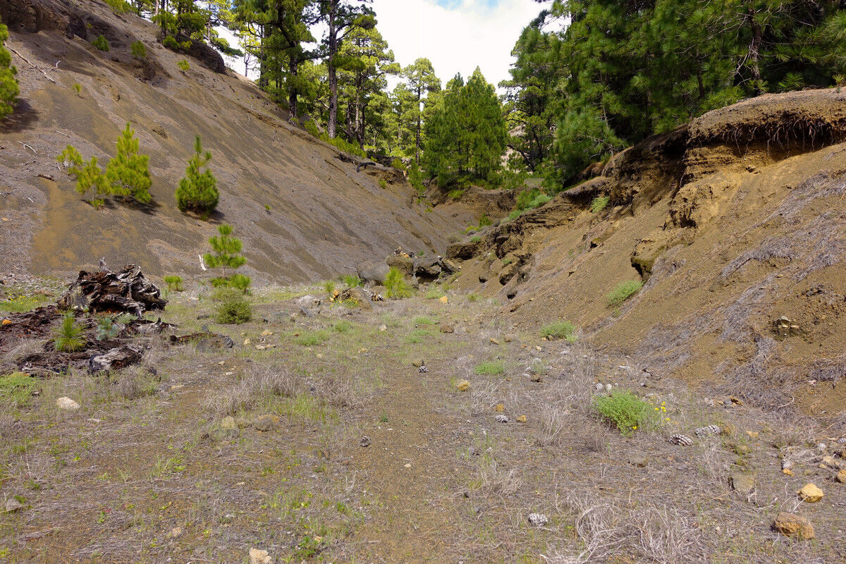 Abstieg durch ein trockenes Bachbett.