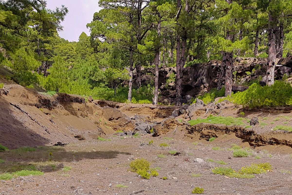 Abstieg durch ein trockenes Bachbett.