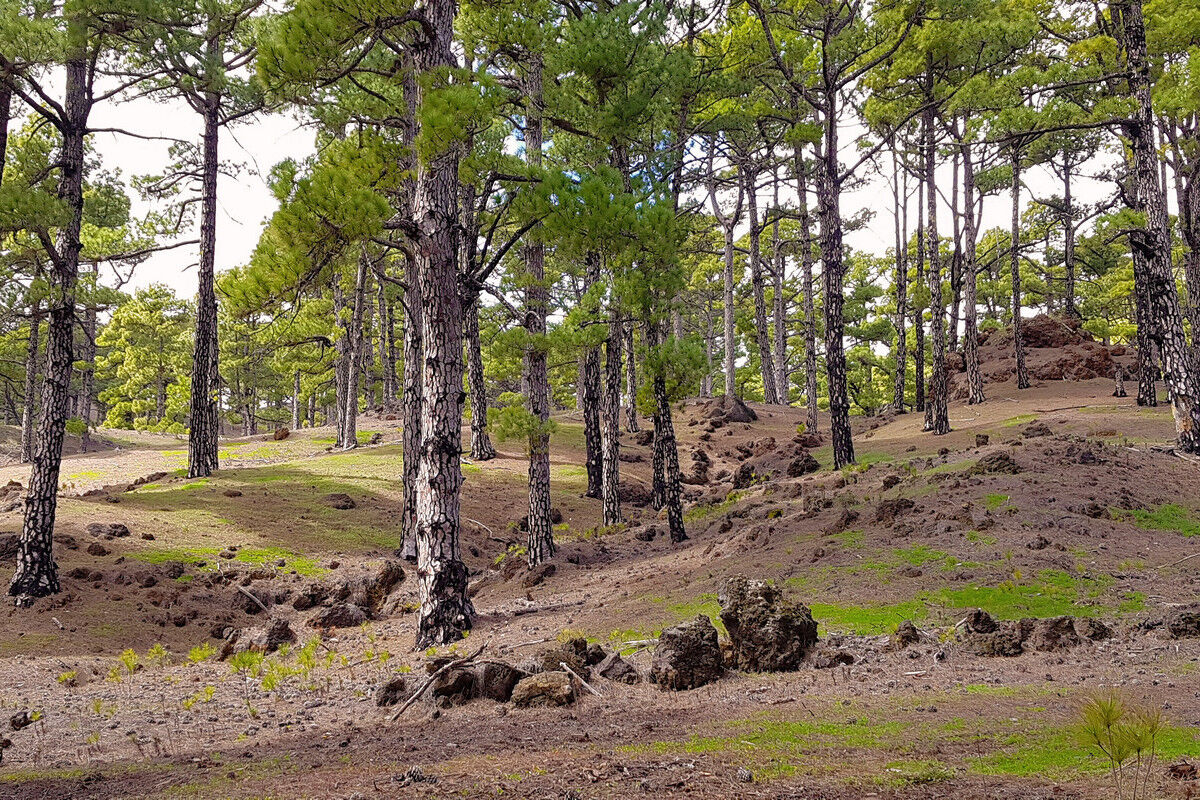 Abstieg durch ein trockenes Bachbett.