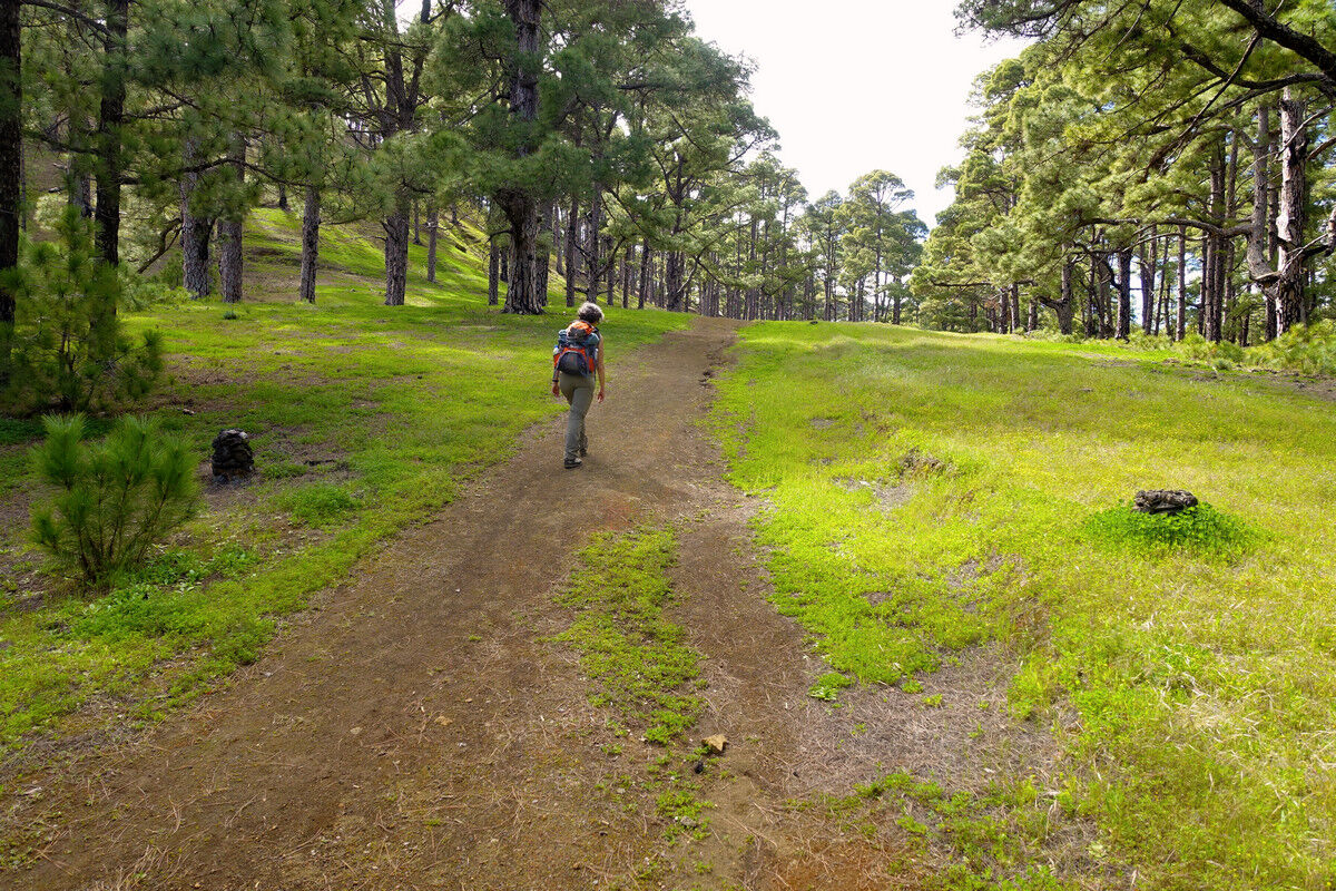 Zurück beim Rastplatz Hoya del Morcillo.